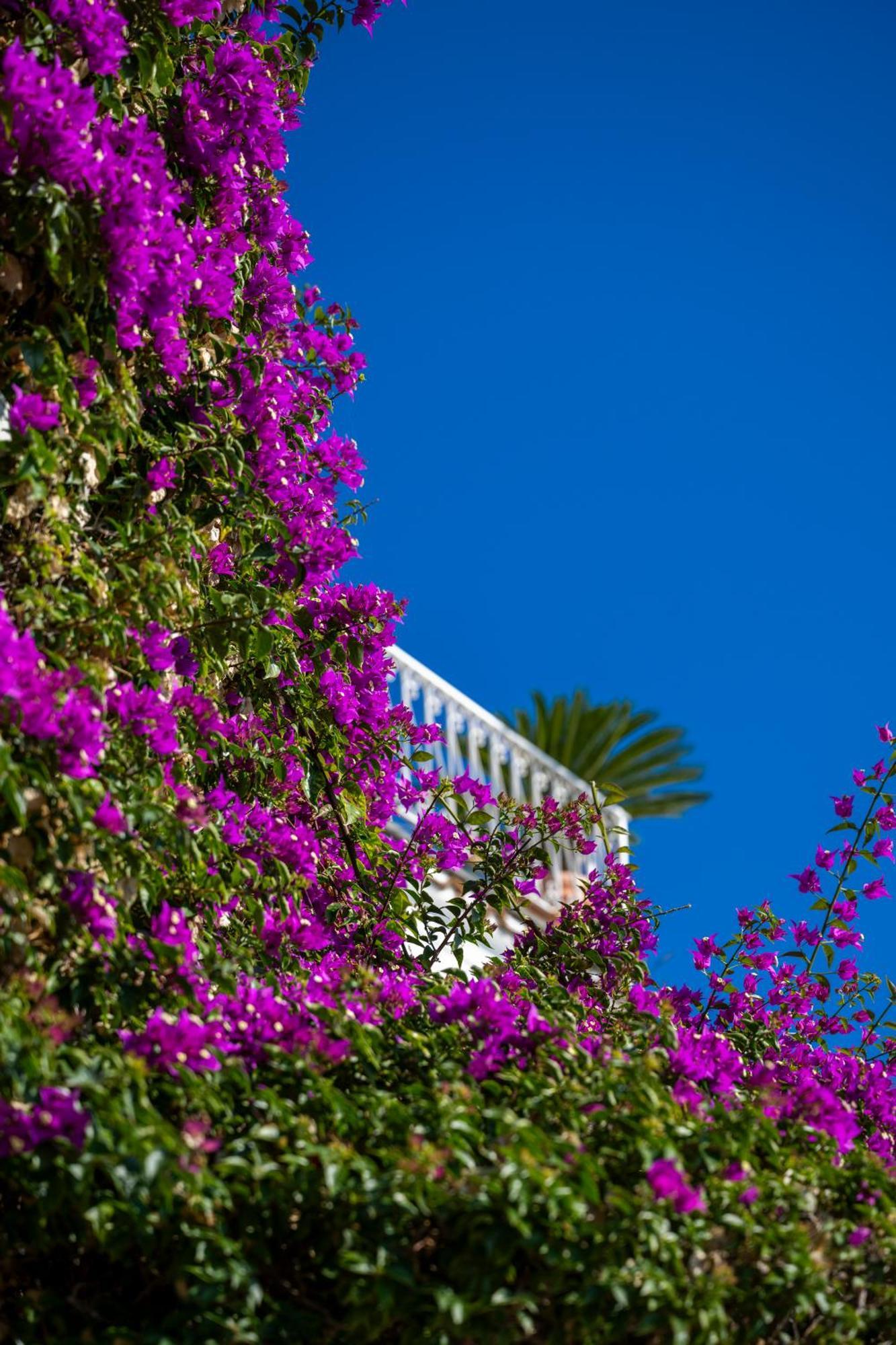Casetta Arienzo Positano Exteriör bild